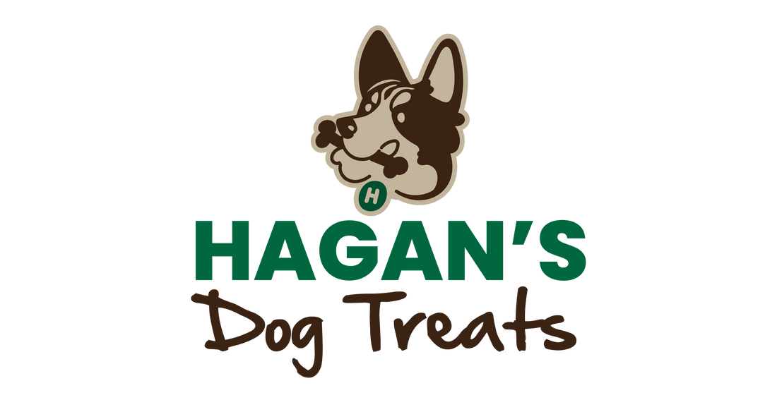 Hagan's First Birthday Giveaway
