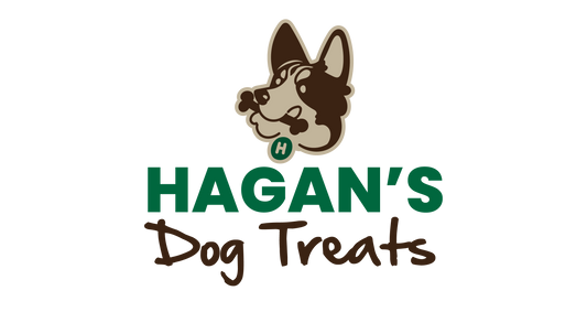 Hagan's First Birthday Giveaway