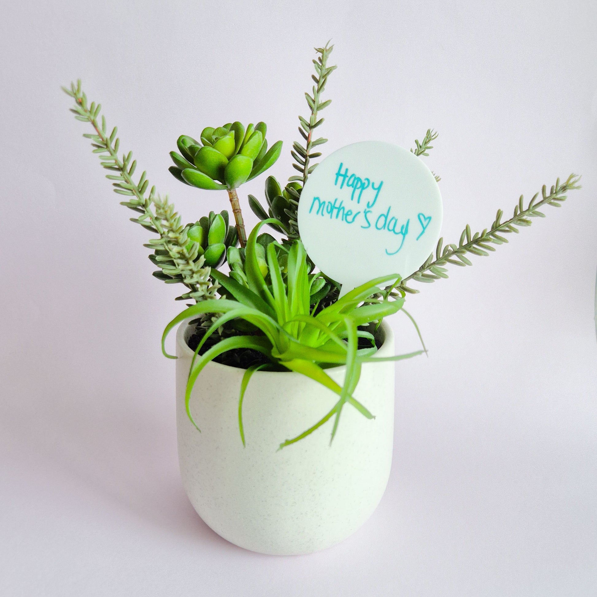 Acrylic Plant and Garden Stake