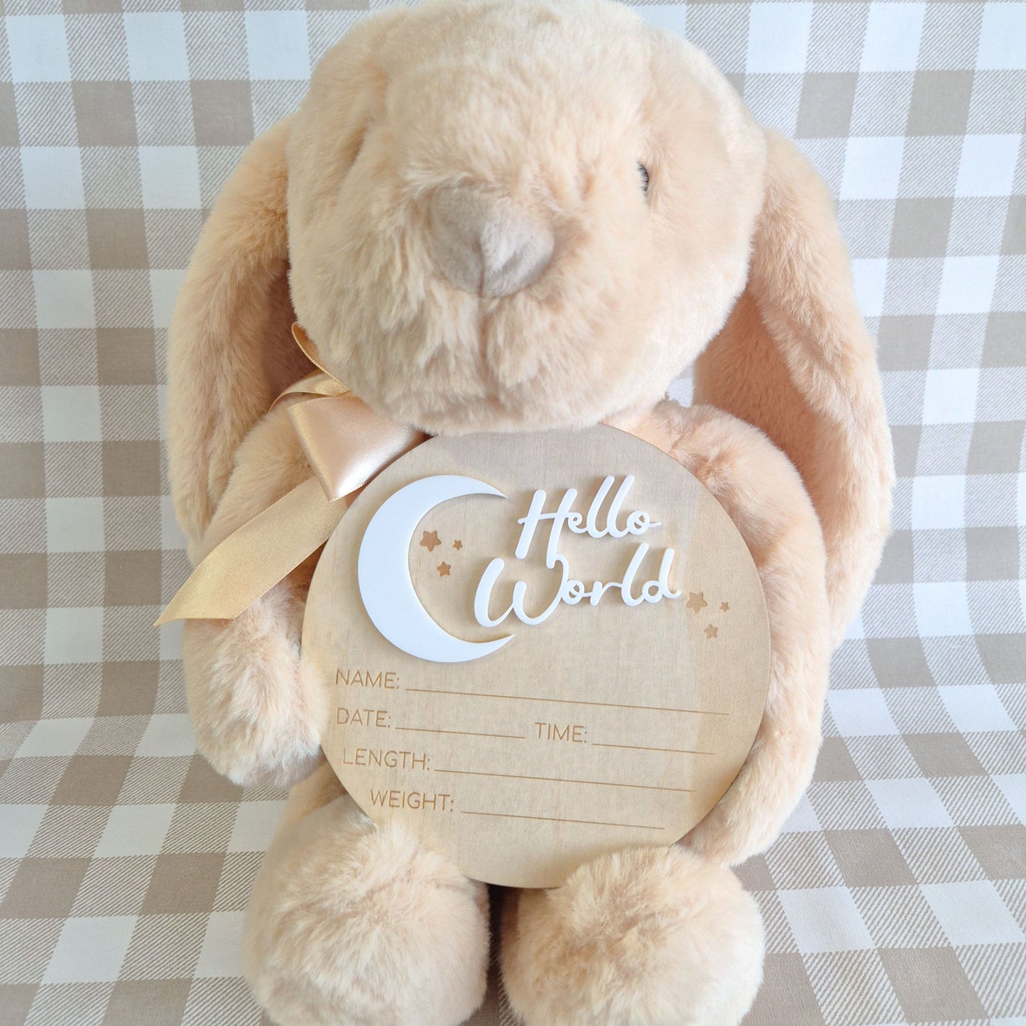 Birth announcement plaque hello world circle