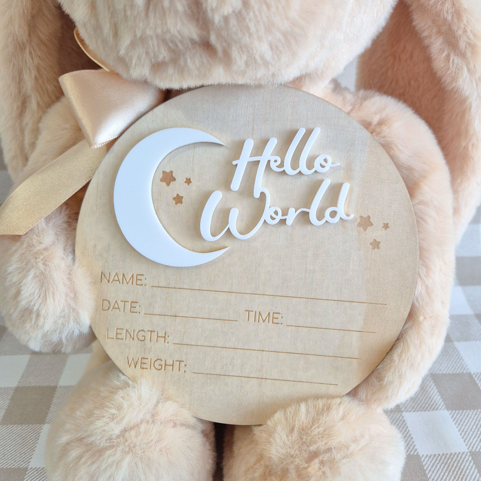 Birth announcement plaque hello world circle