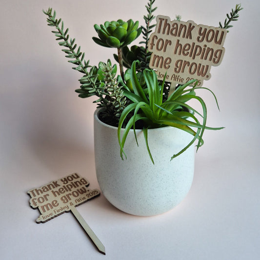 Potted plant with 'Thank you for helping me grow' signs on a white background