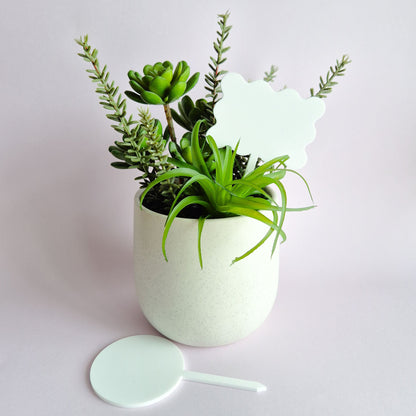 Acrylic Plant and Garden Stake 