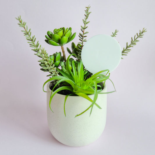 Acrylic Plant and Garden Stake Round 