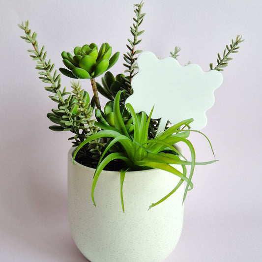 Acrylic Plant and Garden Stake 