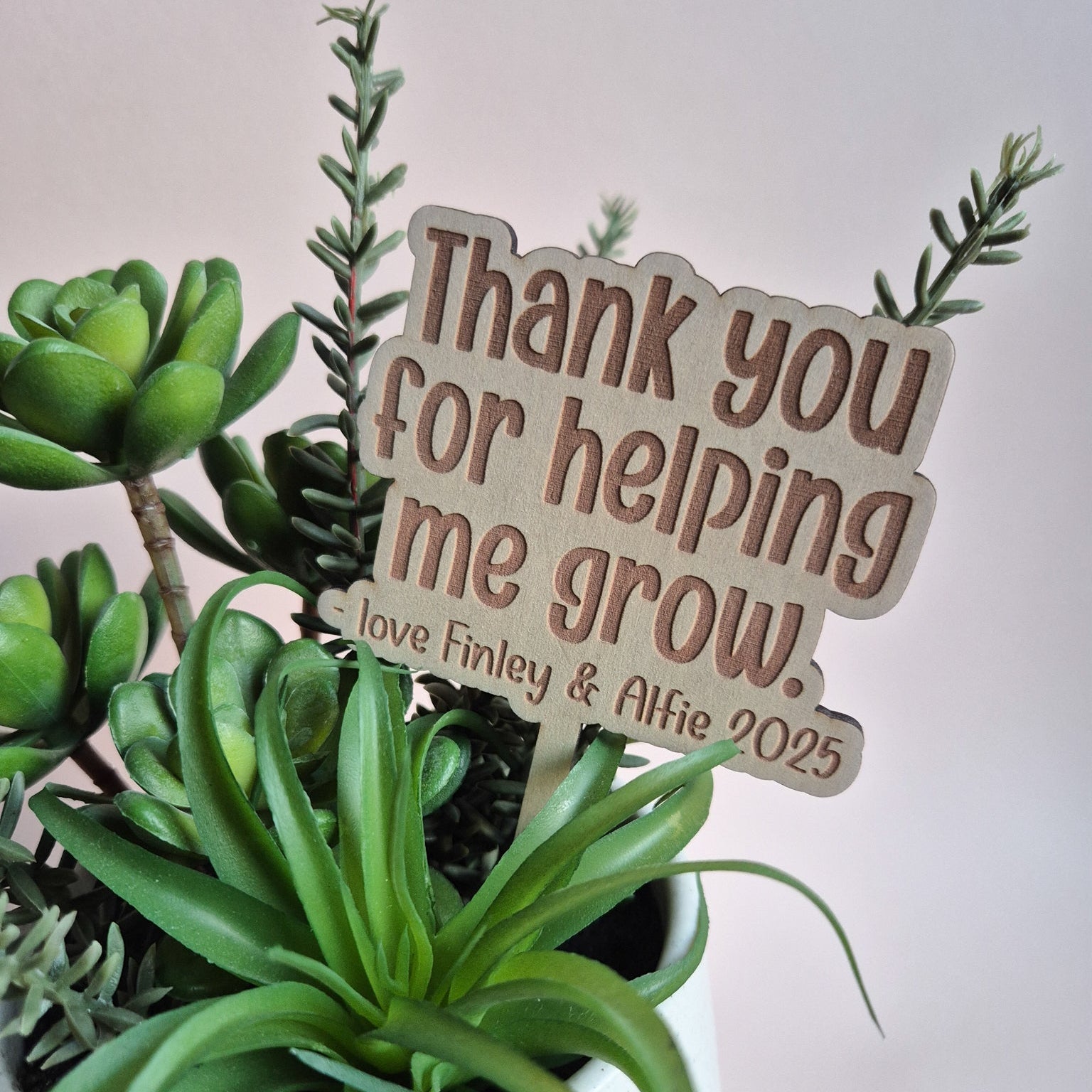 Plant with a wooden tag reading 'Thank you for helping me grow. Love, Finley & Alfie 2025' on a neutral background
