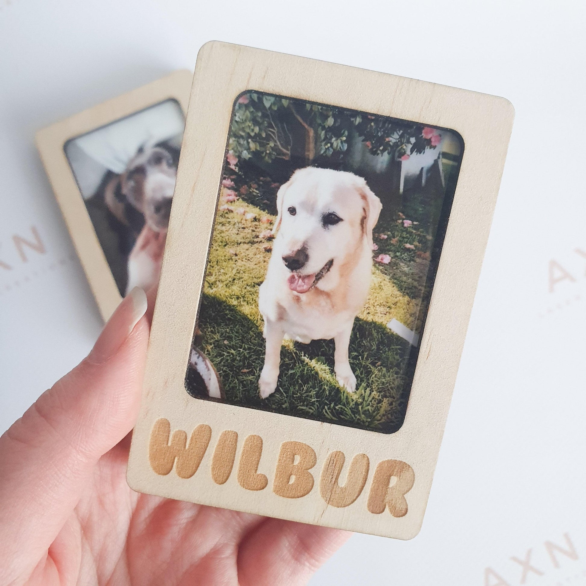 Handmade Plywood Polaroid Frame