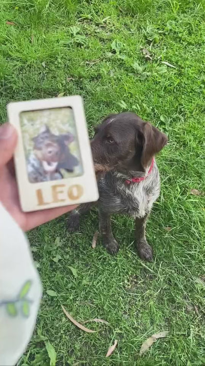 Polaroid Fridge Frame